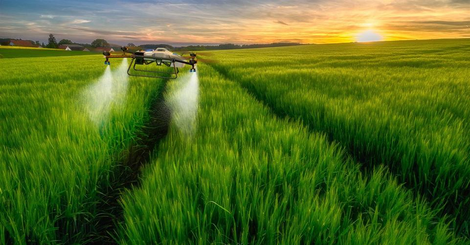 永信贵宾会217·(中国区)官网